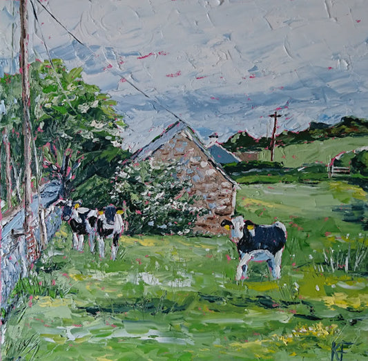 Build Me Up Buttercup (Ballyroan Cows)